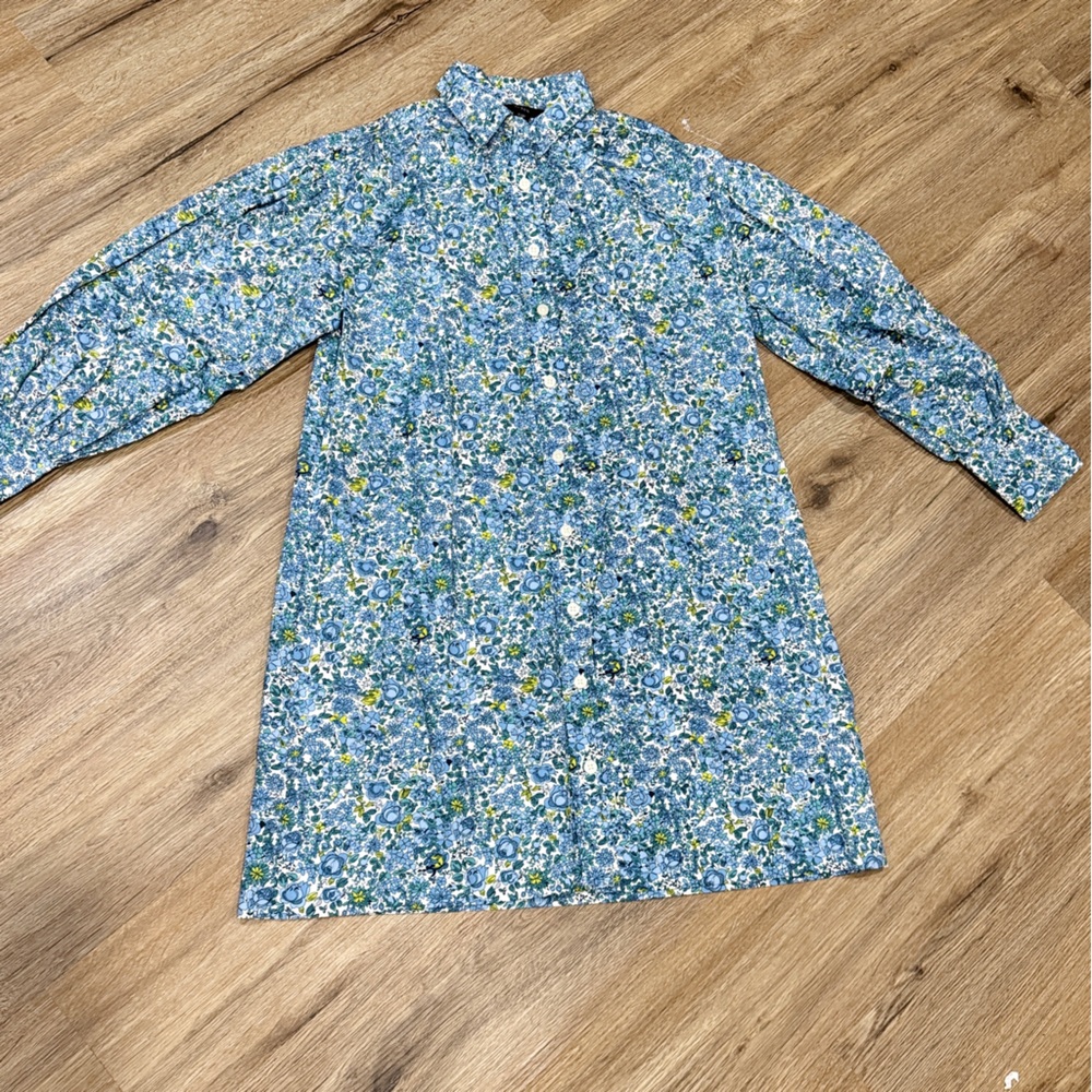 J. Crew shirt dress